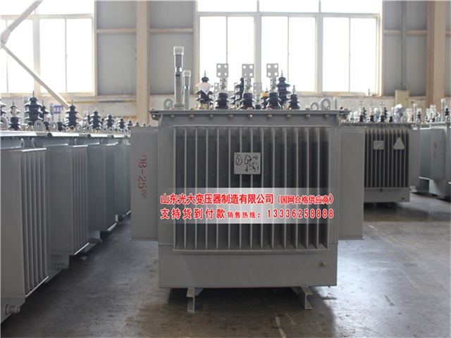 衢州S22-4000KVA油浸式变压器